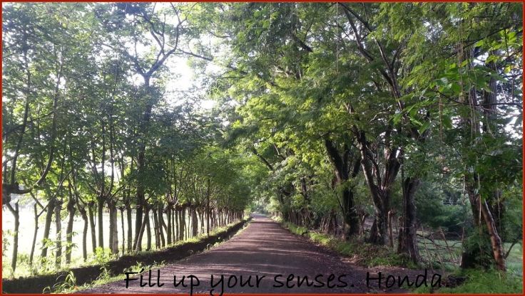 1NicoyaTypicalRoad_Honda