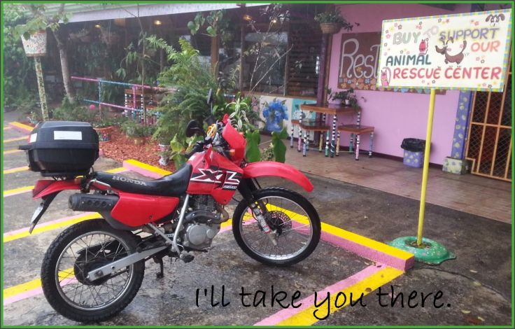 I_will_Take_you_there_Honda