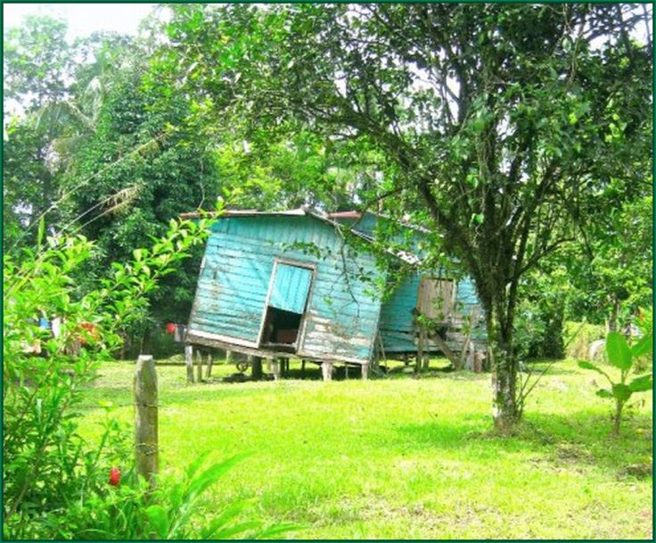 Puerto_AndreaPatterson