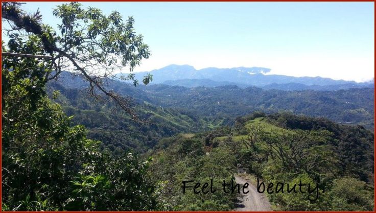 Puriscal_FeelTheBeauty