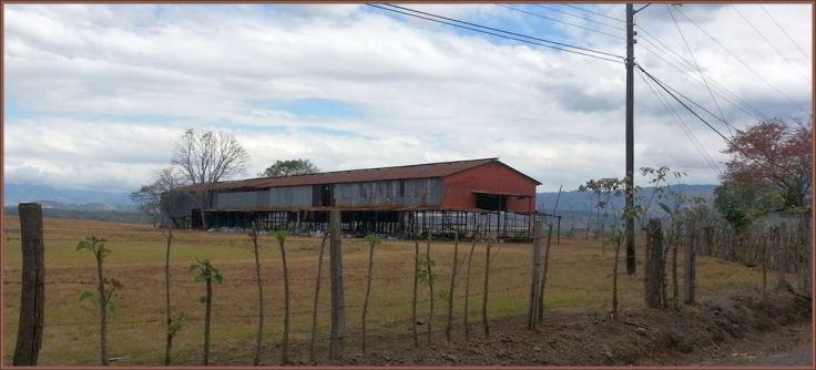 28235058_10213950958500815_760198674490523185_o