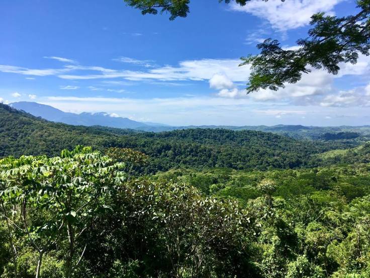 34447595_10156503316184809_1299191821372489728_n