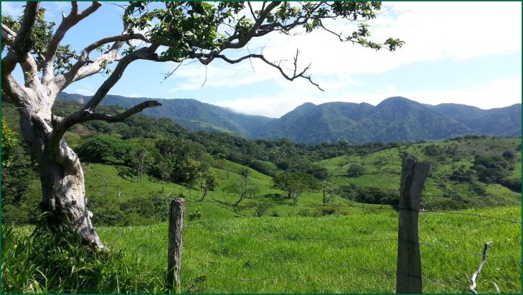 Cameoutofthosemountains