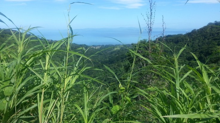 ViewRoadToB‍ijagual