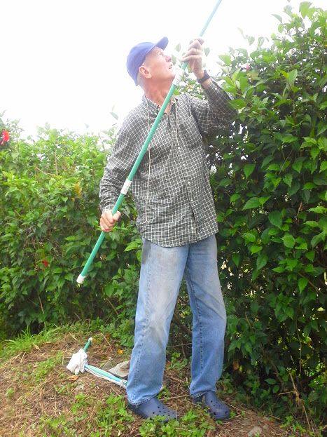 12400619_10207382305288590_2350047381051370322_n