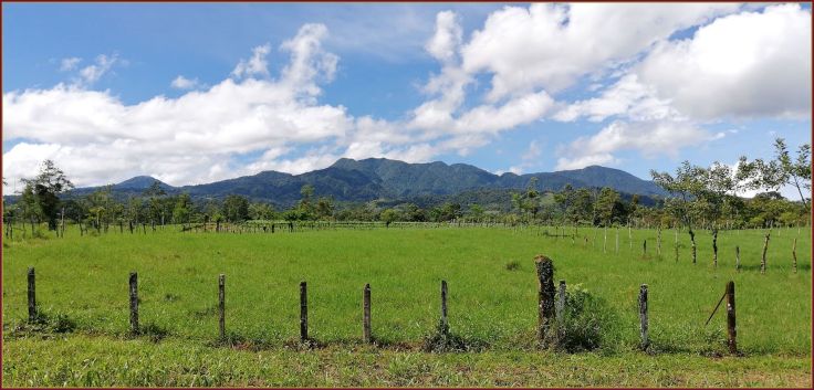 IMG_20180927_091821_BURST001_COVER