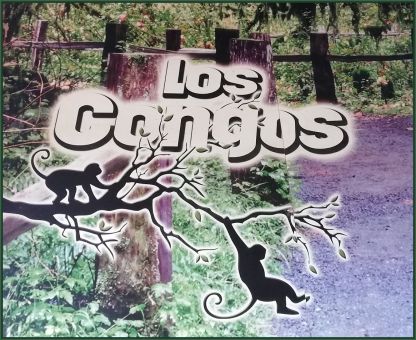 LosCongosRestaurant.jpg