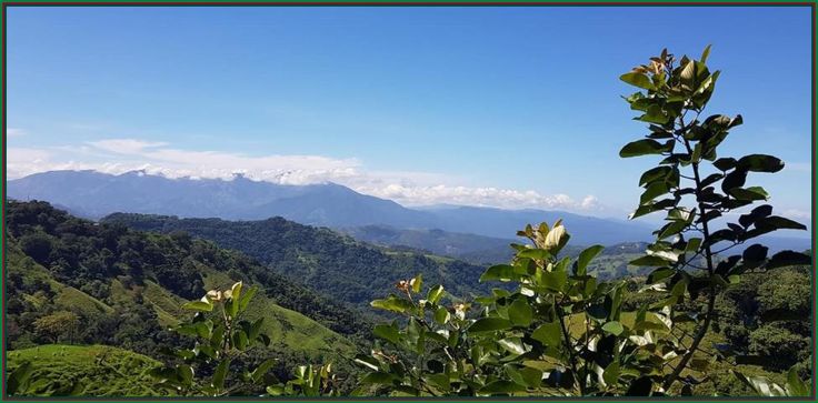 43395127_2065205723532168_8226696473199247360_n