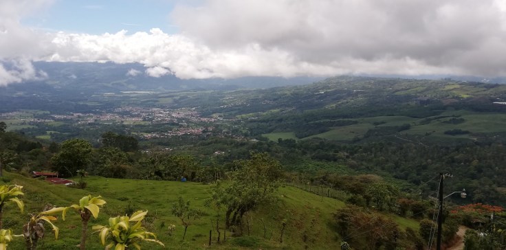 TurtialbefromStaCruz