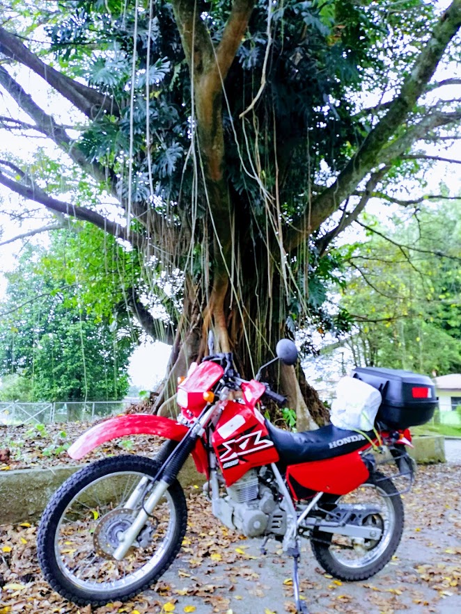 IMG_20181104_104937-EFFECTS