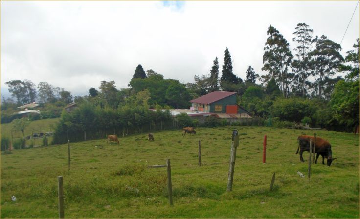 DSC00394