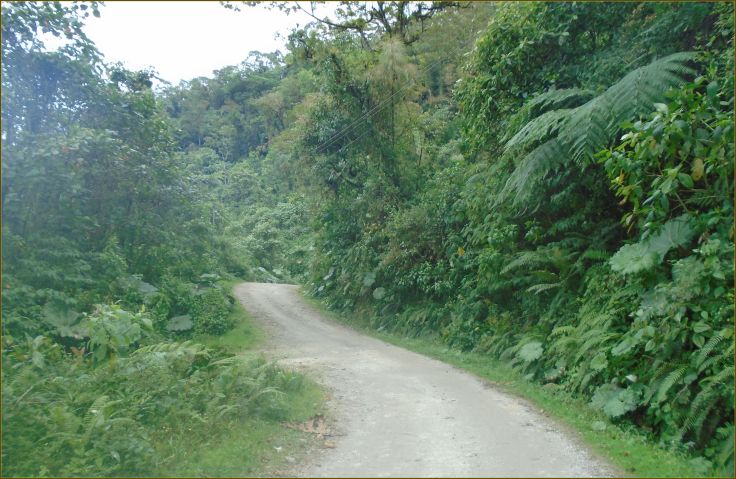 Road2