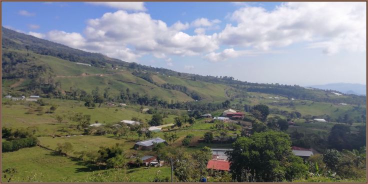 IMG_20190217_084452_BURST007