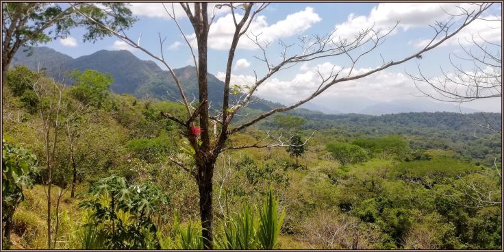 ParqueLaCangrejaLeft