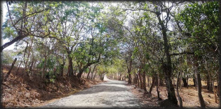 PiedrasNegras_ElRodeo2