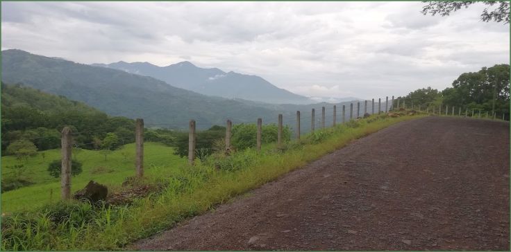 roadview