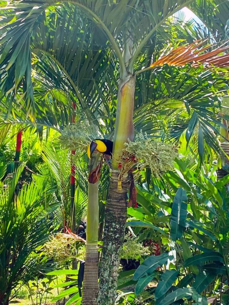 WhatsApp Image 2019-12-15 at 6.27.03 PM.jpg