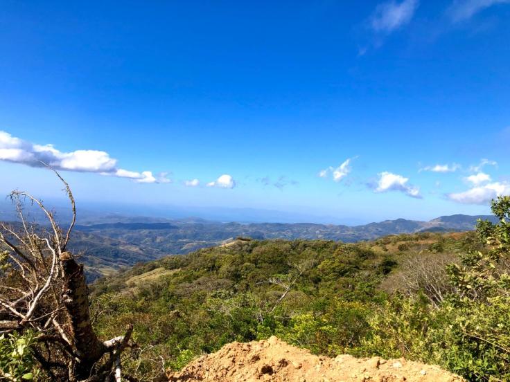 WhatsApp Image 2020-02-02 at 3.45.29 PM