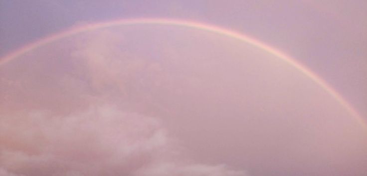 IMG_20200521_051504 (1)