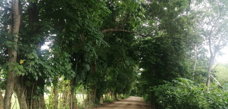 Entrance_PlayaAgujas